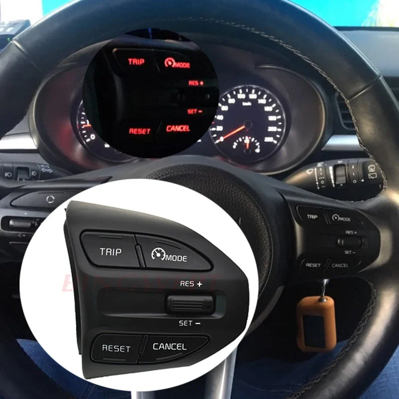 Steering Wheel Buttons - Phone, Volume & Cruise Control